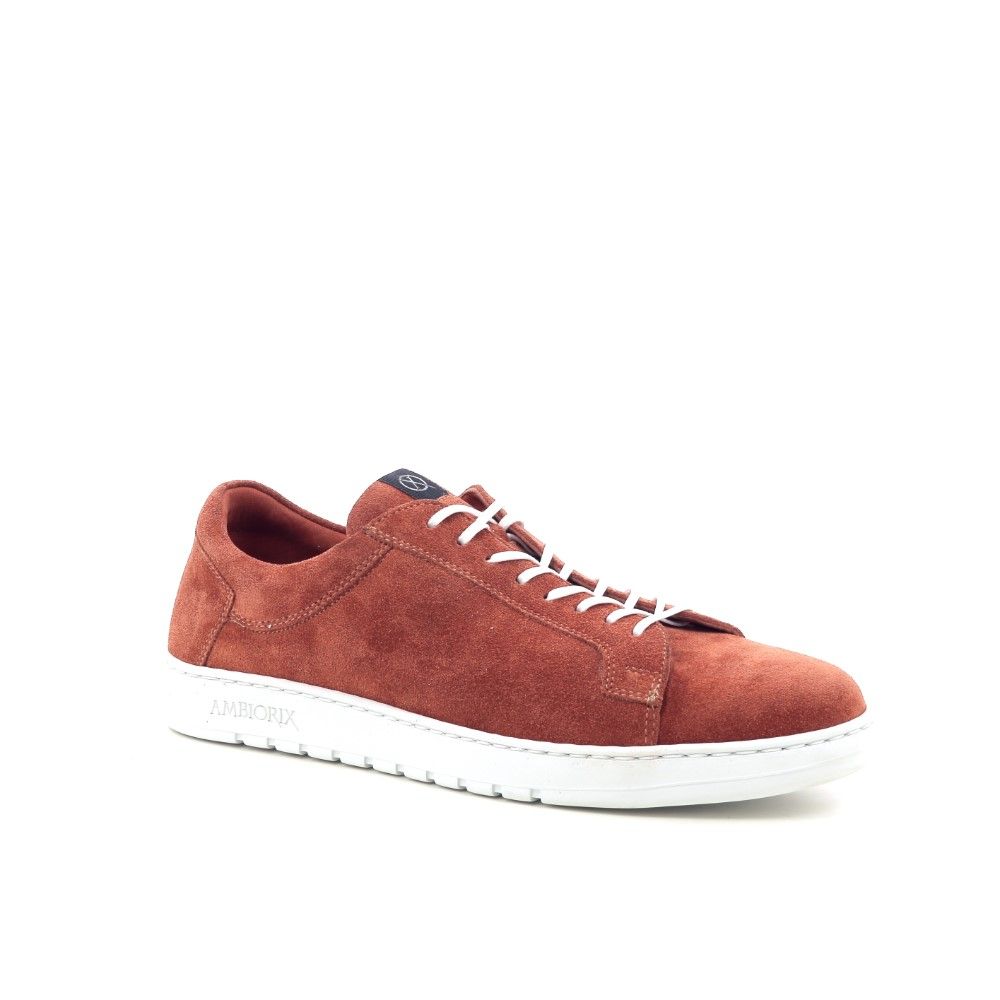 Ambiorix Espinio 204495 rood
