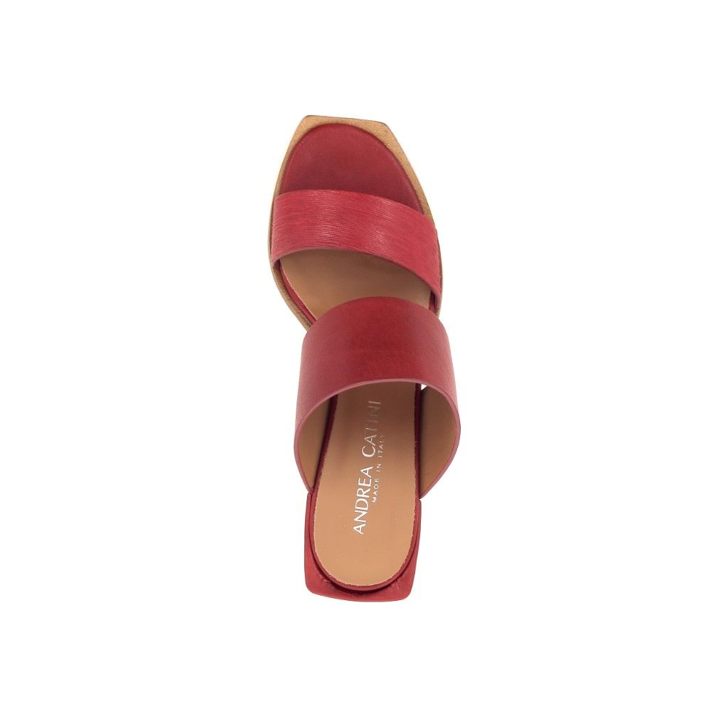 Andrea Catini Muiltje 213115 rood