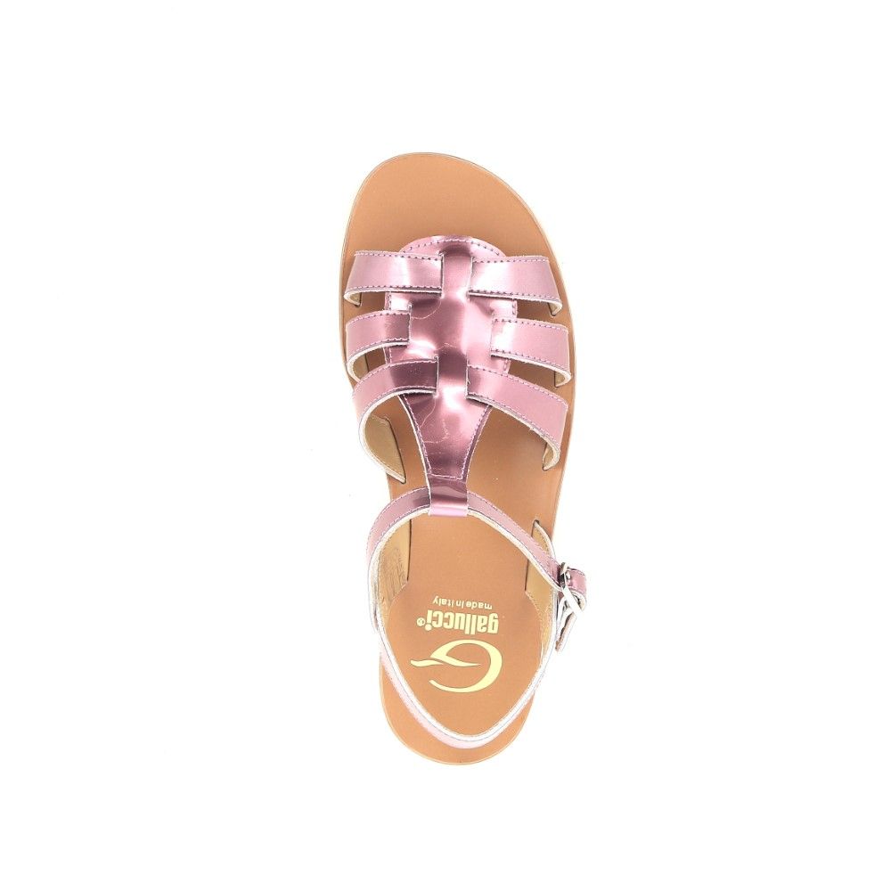 Gallucci Sandaal 213470 paars