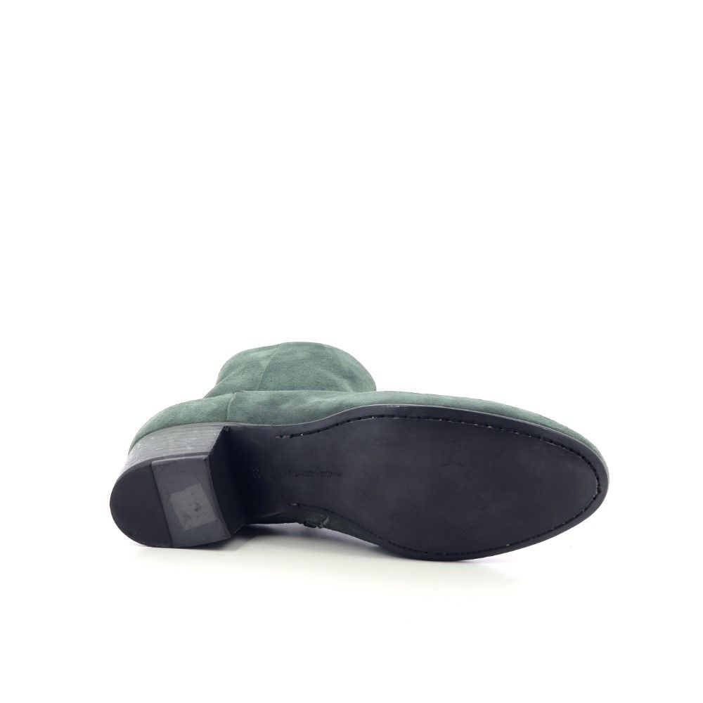 Pantanetti Boots 215813 groen