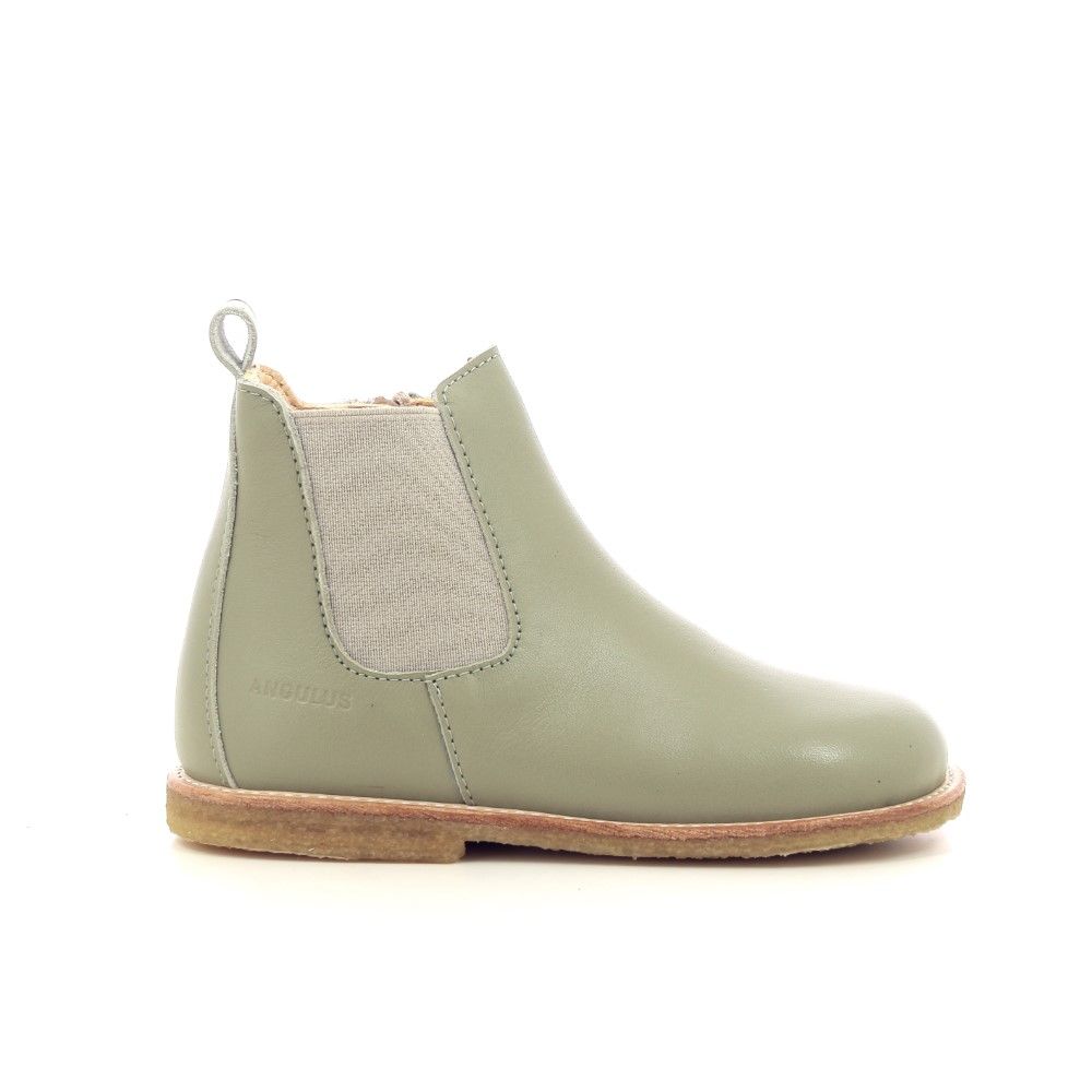 Angulus Boots 217969 groen