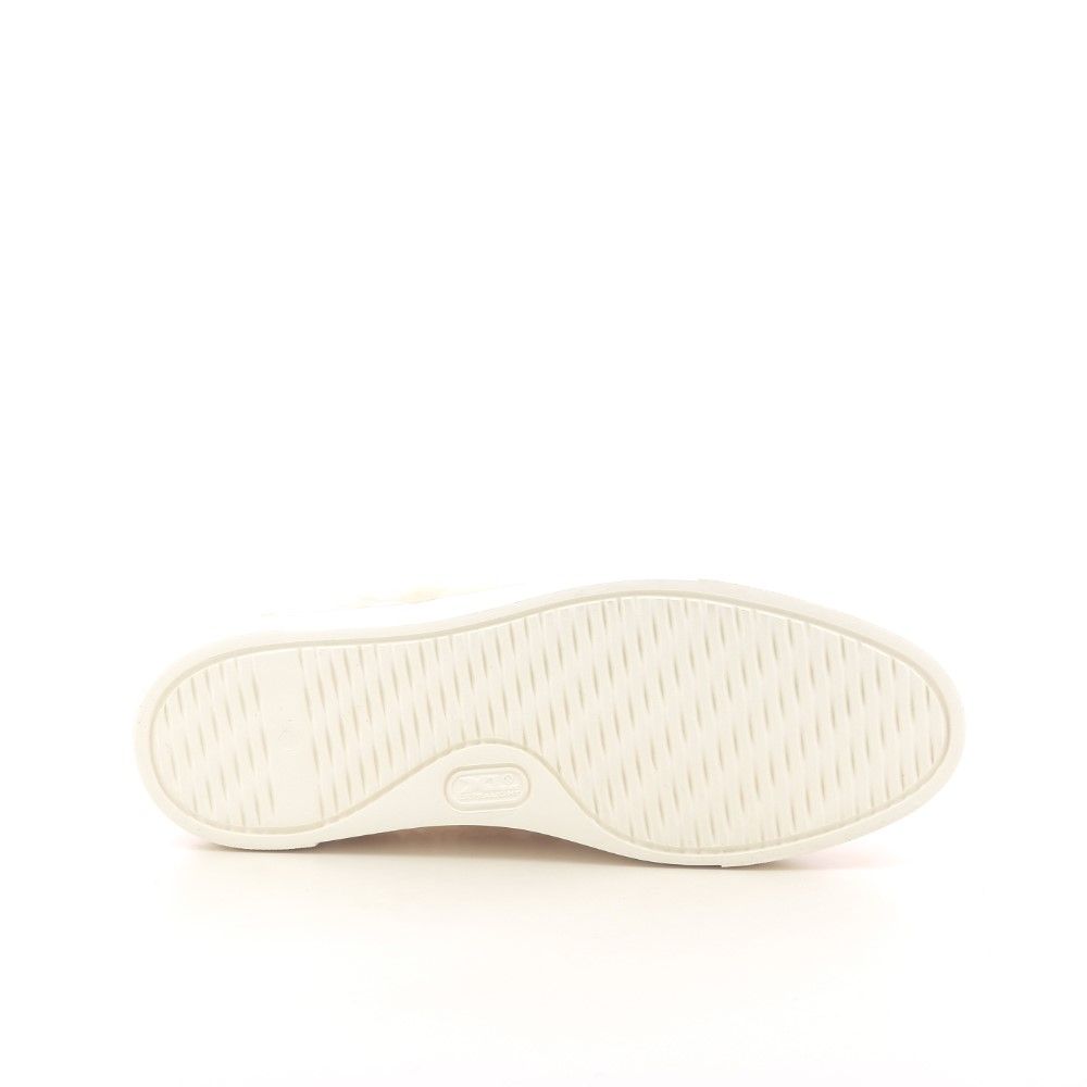 Agl Sneaker 219980 beige