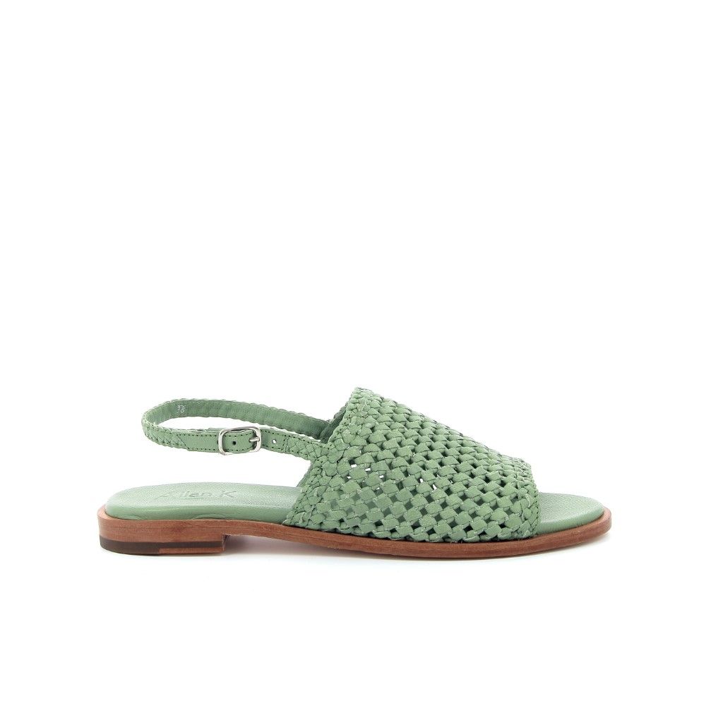 Allan K Sandaal 221173 groen