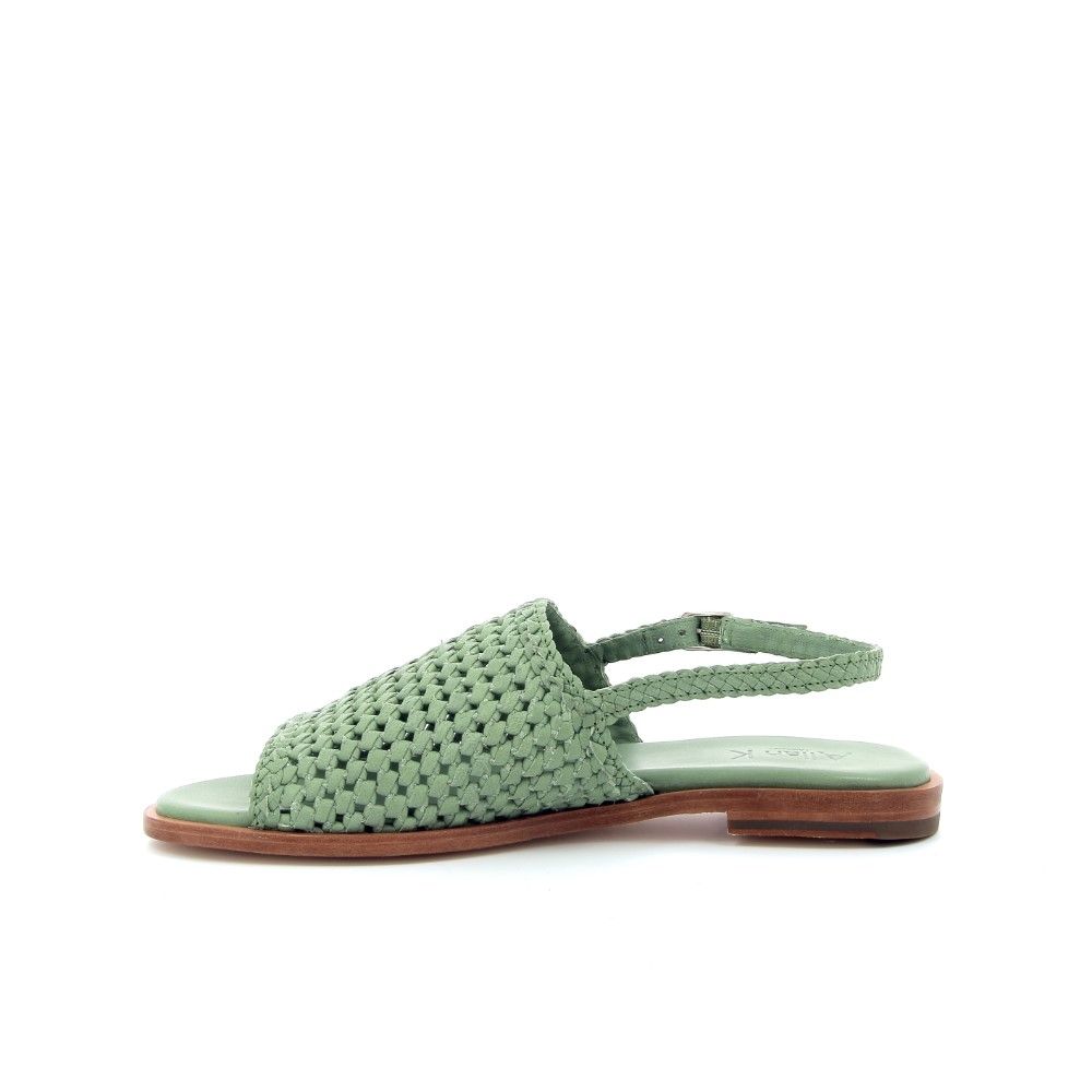 Allan K Sandaal 221173 groen