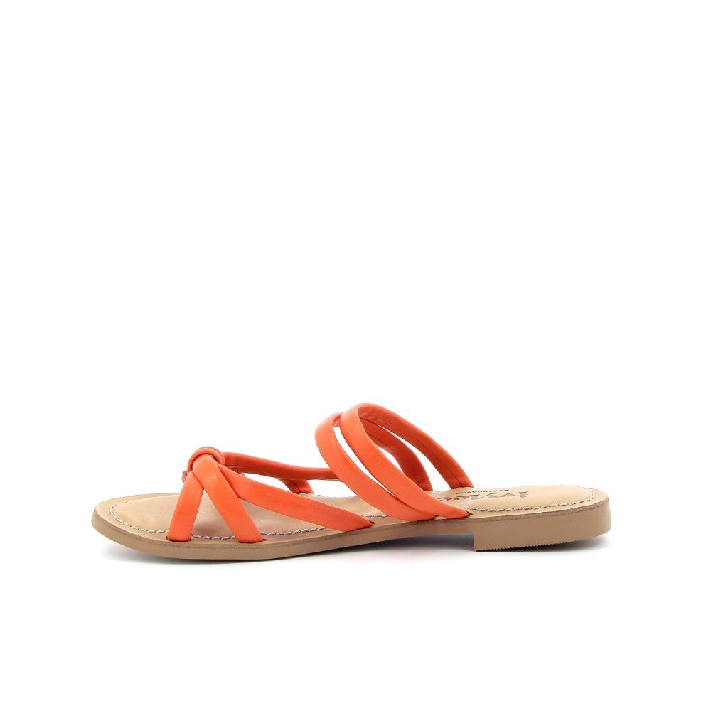 Ivylee Muiltje 221575 oranje