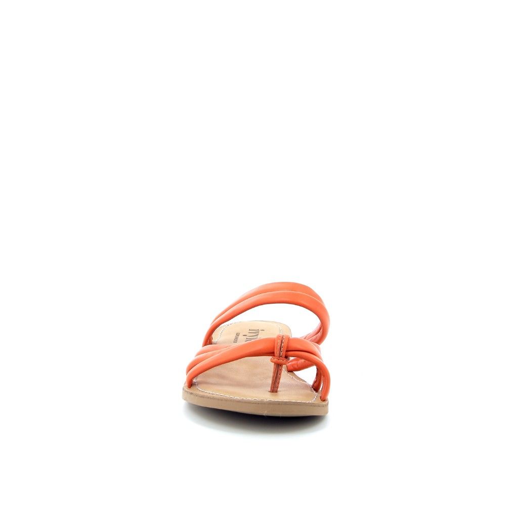 Ivylee Muiltje 221575 oranje