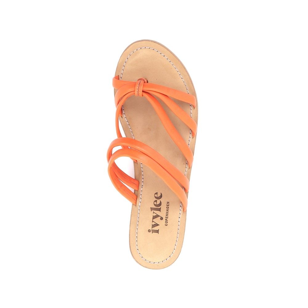Ivylee Muiltje 221575 oranje