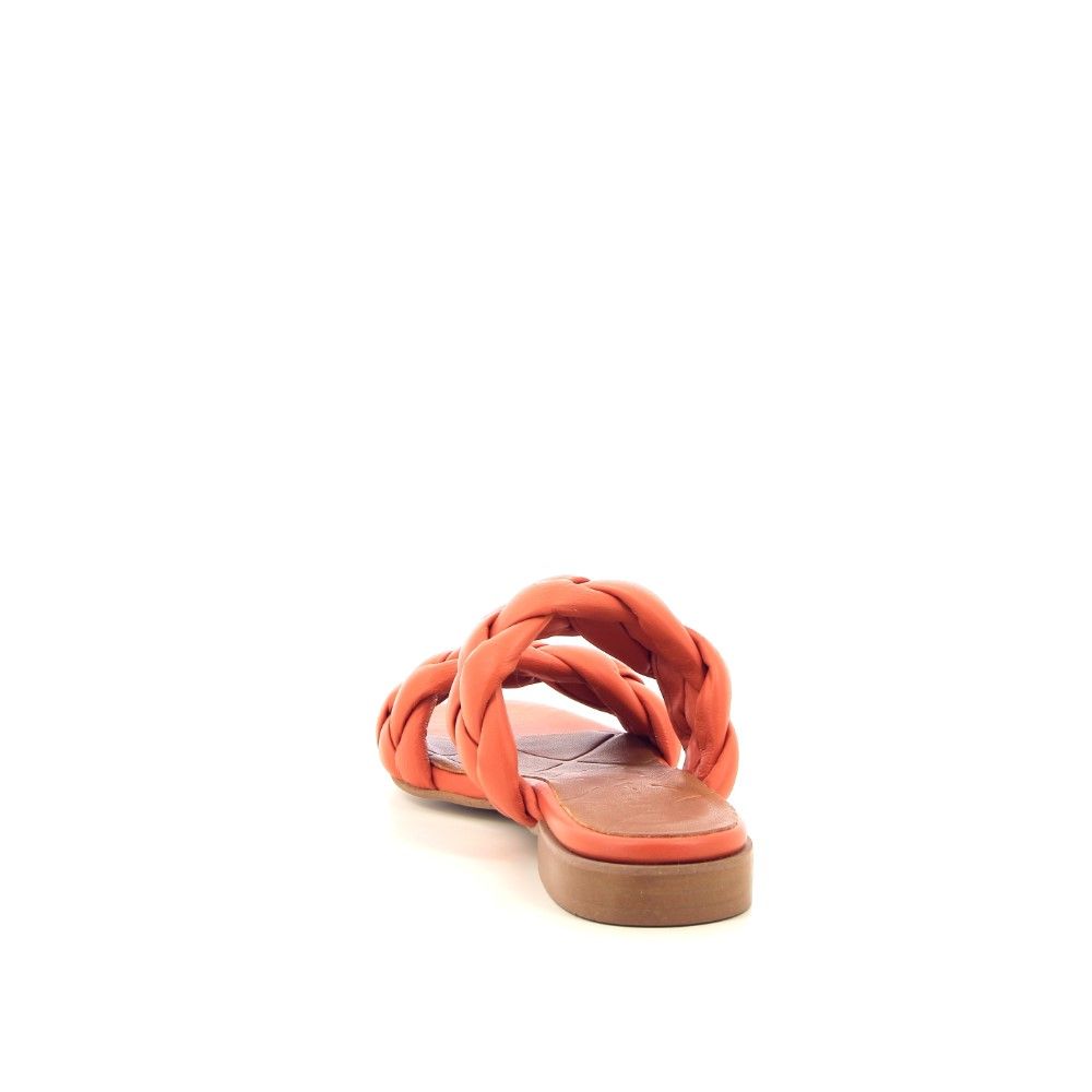 J'hay Muiltje 221750 oranje