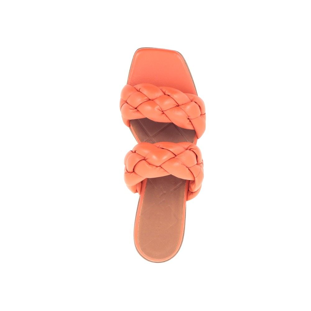 J'hay Muiltje 221750 oranje