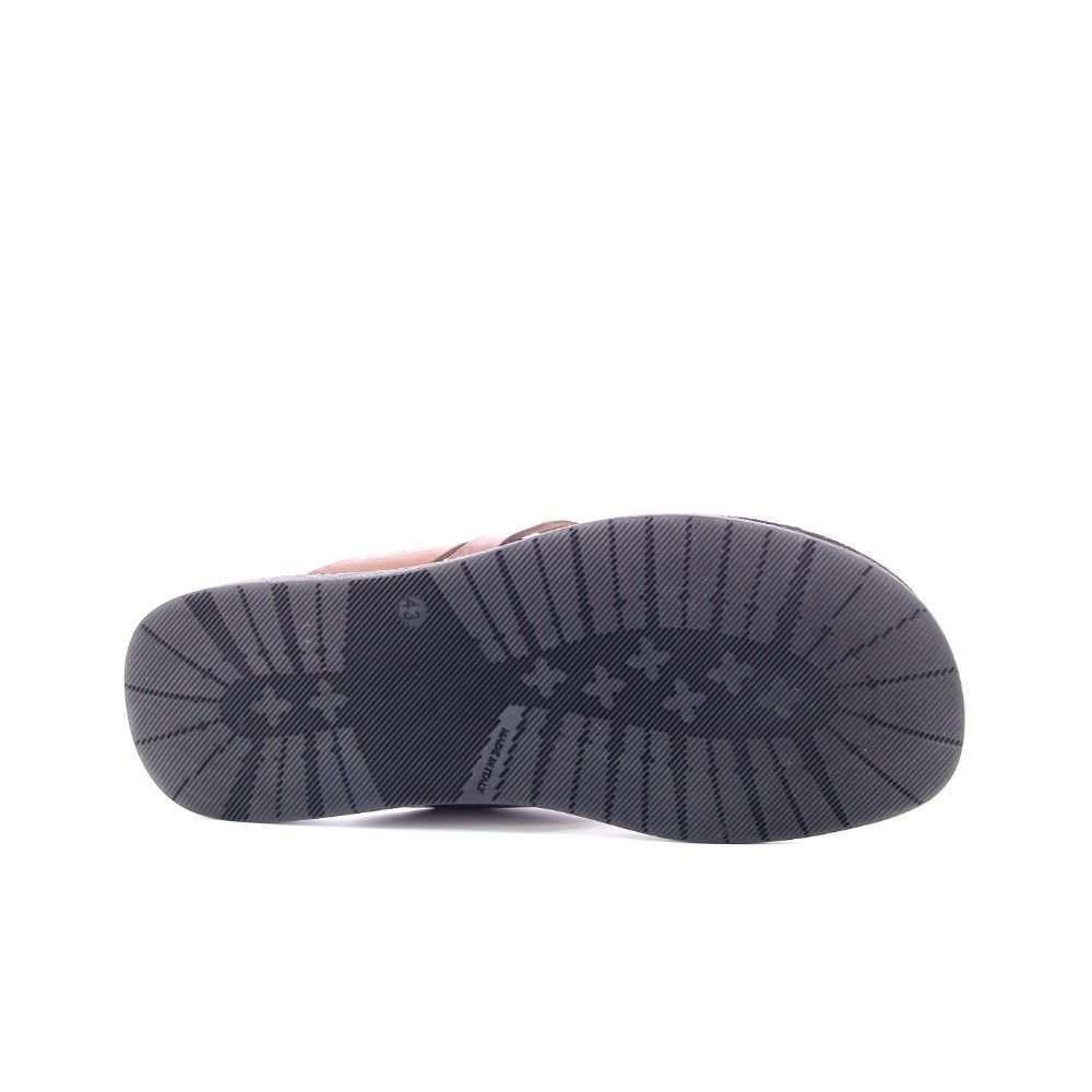 Brador Sleffer 221994 cognac