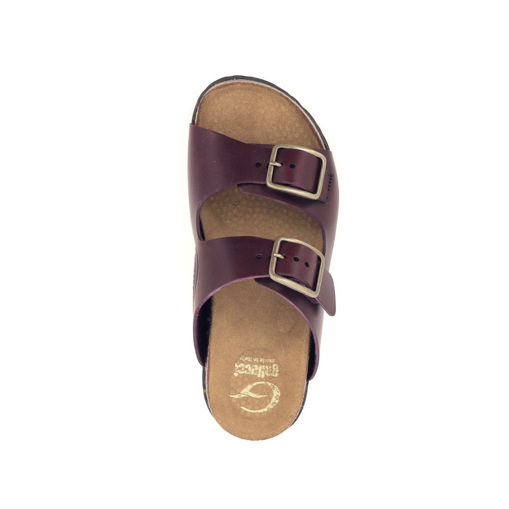 Gallucci Sleffer 222147 rood
