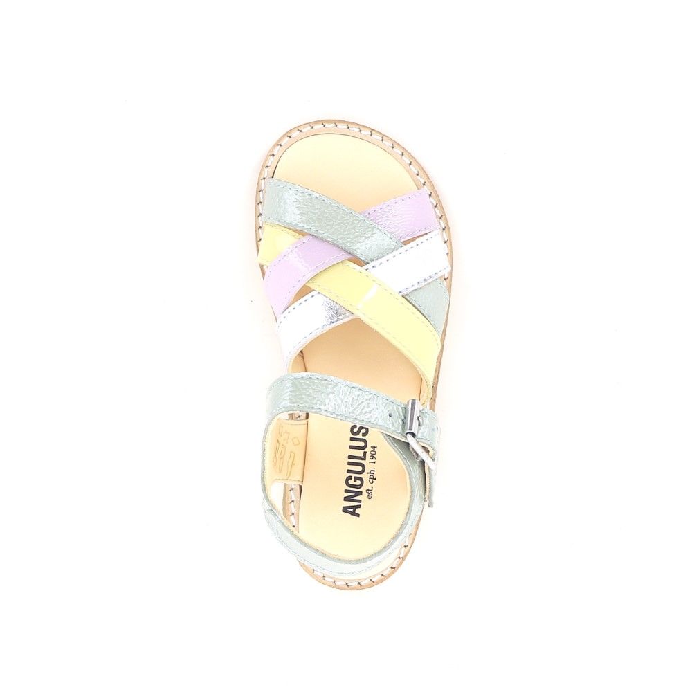 Angulus Sandaal 222160 multi