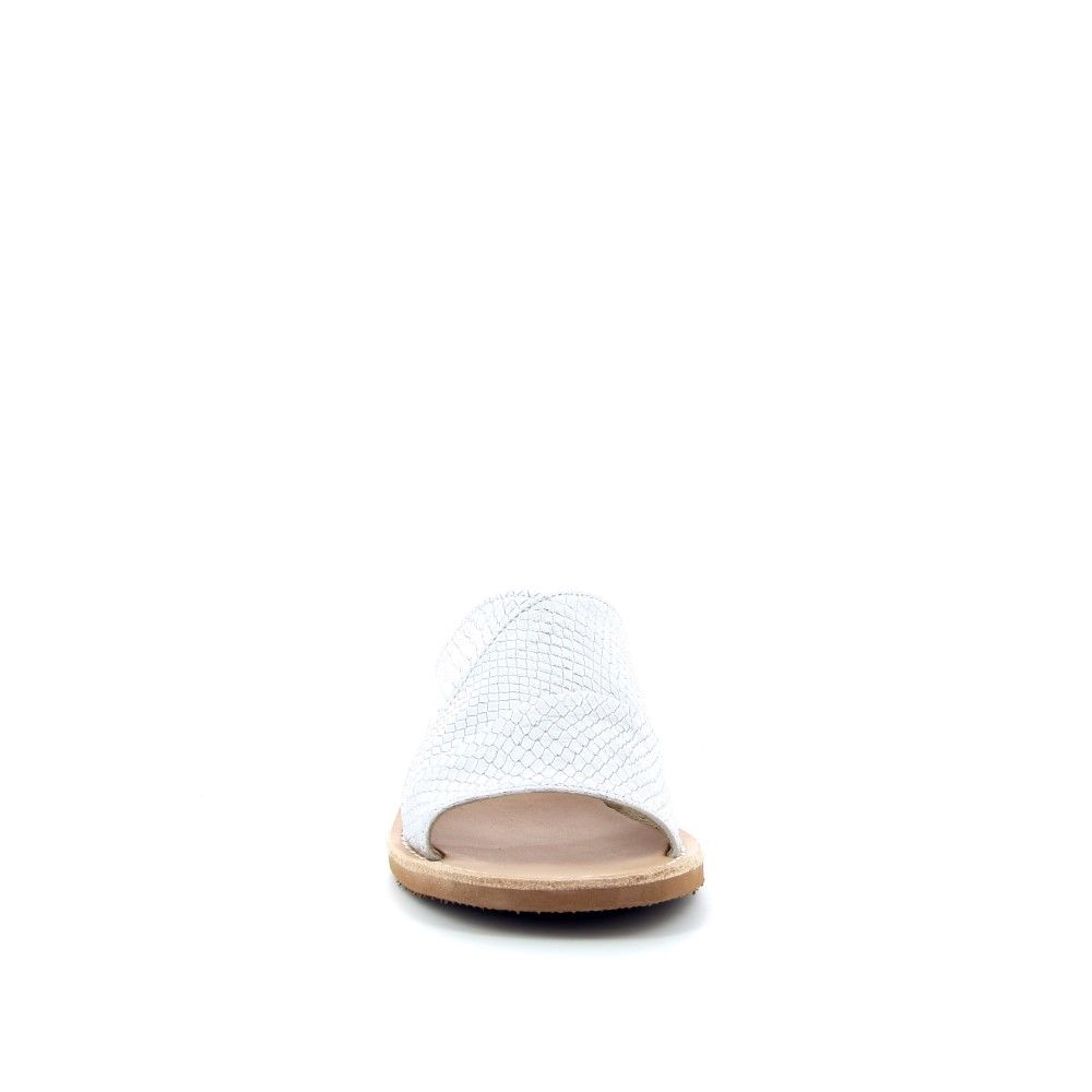 Ronny Sleffer 222795 zilver