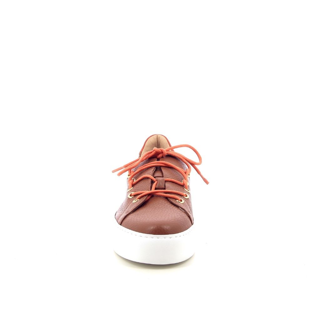 Camerlengo Sneaker 223408 cognac