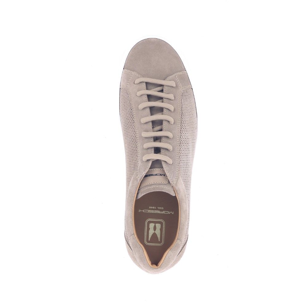 Moreschi Veterschoen 223705 taupe