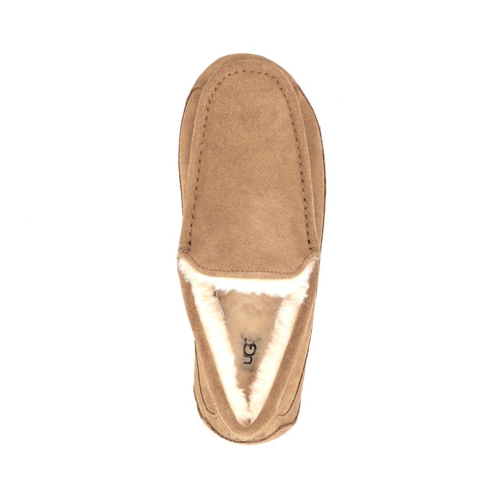 Ugg Ascot 225704 cognac
