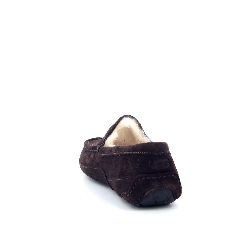 Ugg Ascot 225705 bruin