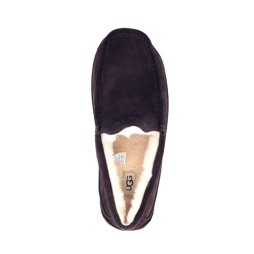 Ugg Ascot 225705 bruin