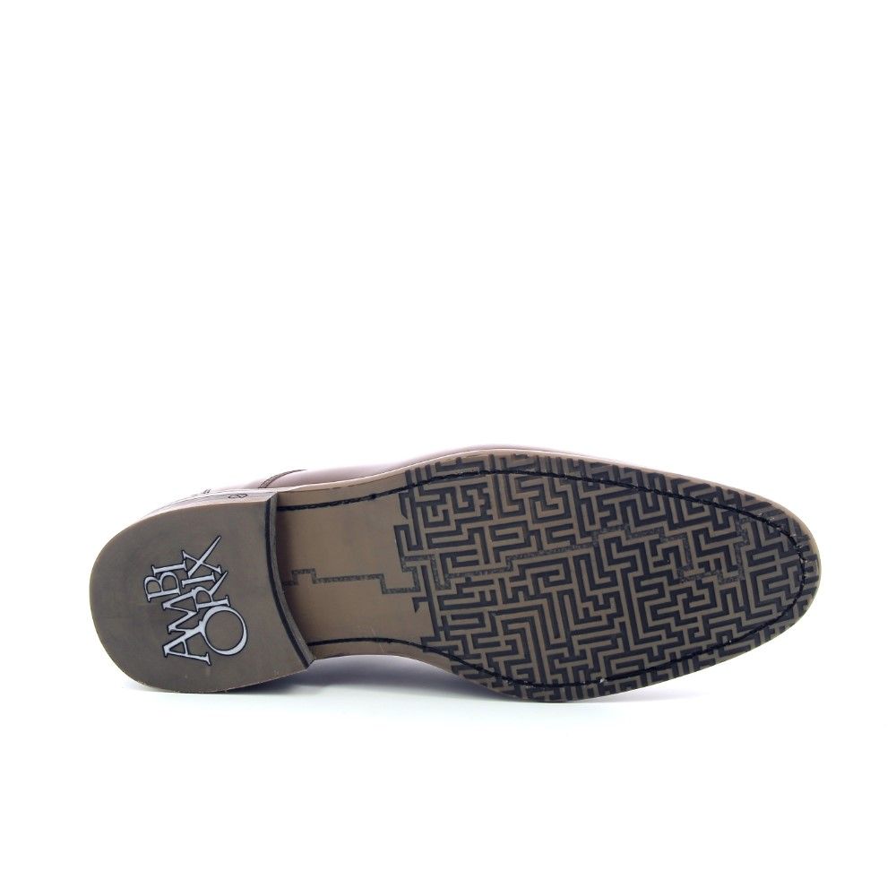 Ambiorix Igor 228499 bruin
