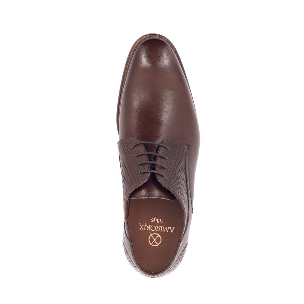 Ambiorix Igor 228499 bruin
