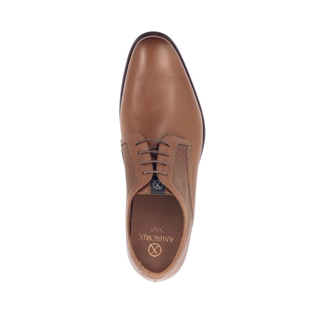 Ambiorix Erasmus 228501 cognac