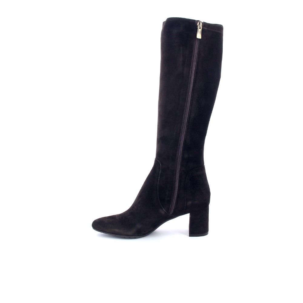 Giorgio M. Laars 228882 bruin