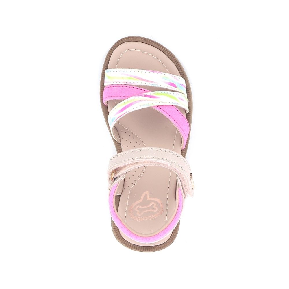 Stones And Bones Gamma 230901 roze
