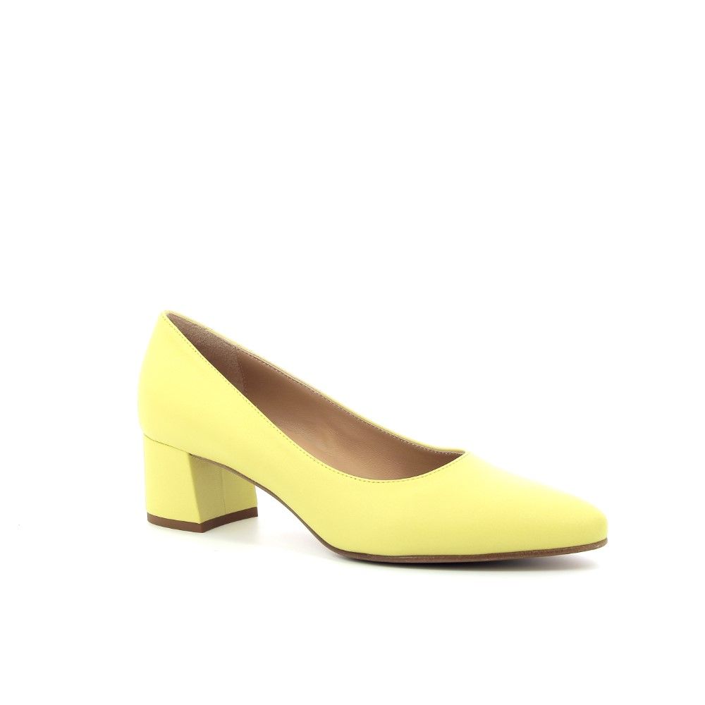 Voltan Pump 231120 geel