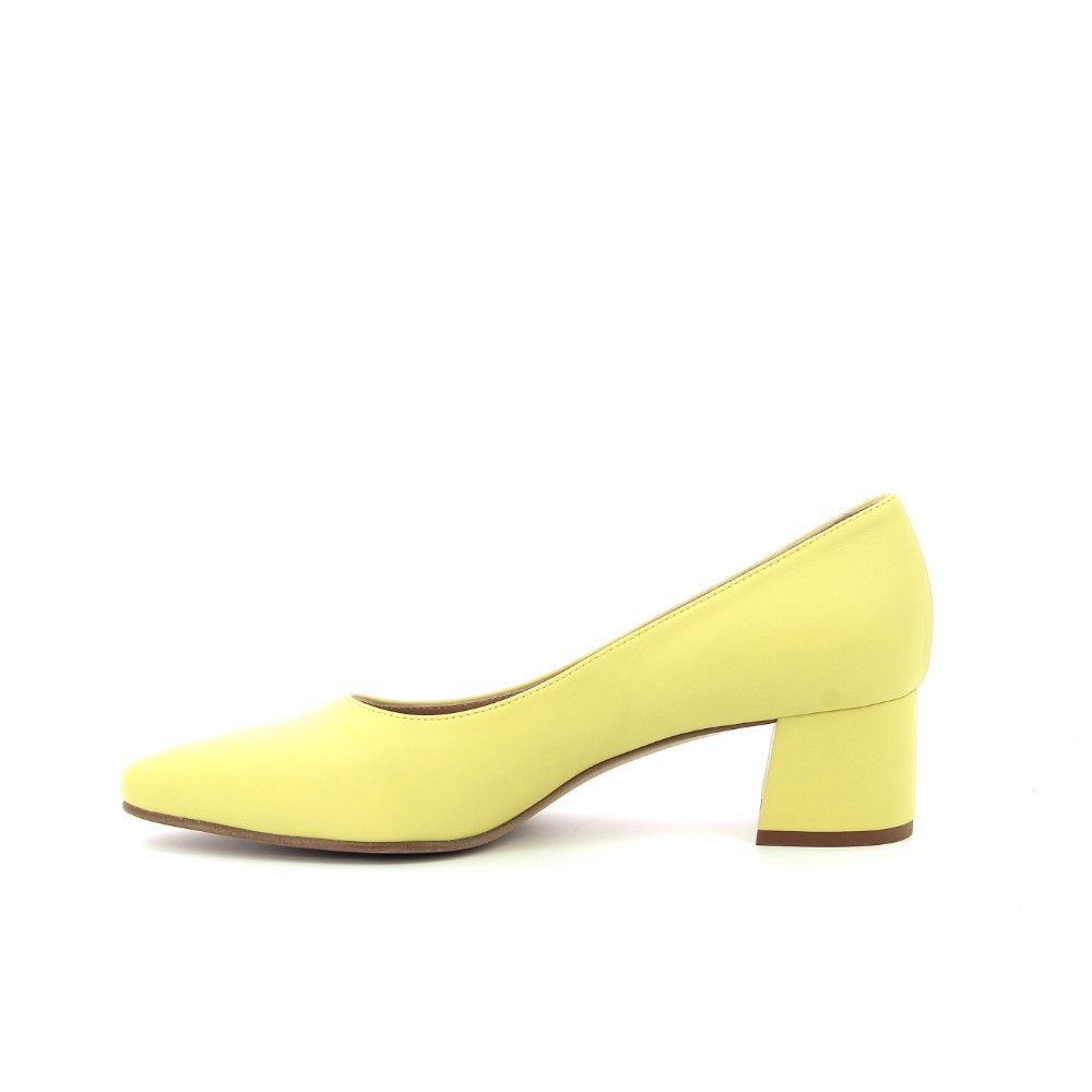 Voltan Pump 231120 geel