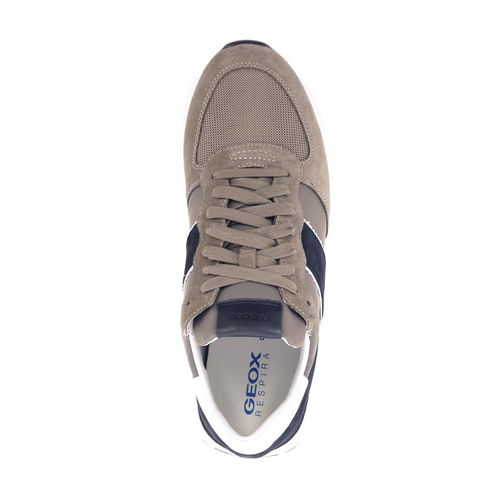 Geox Sneaker 231530 taupe