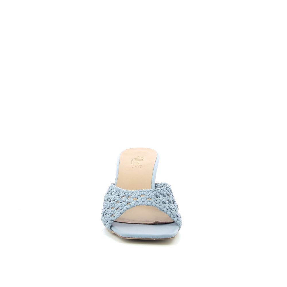 Allan K Muiltje 232008 blauw