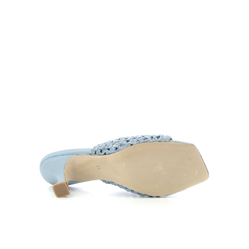 Allan K Muiltje 232008 blauw