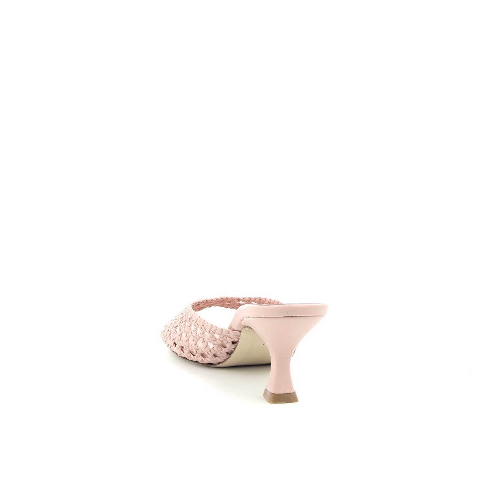 Allan K Muiltje 232009 roze