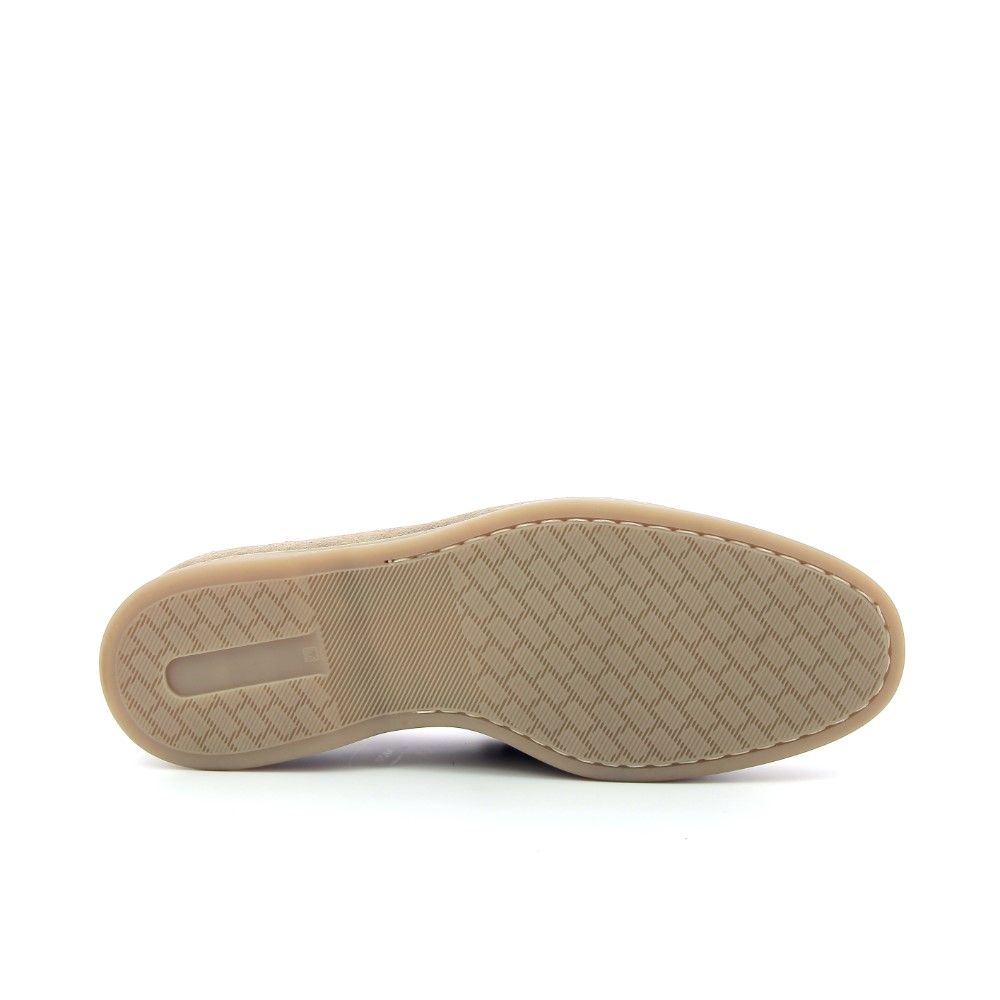 Ambiorix Iacus 232203 beige