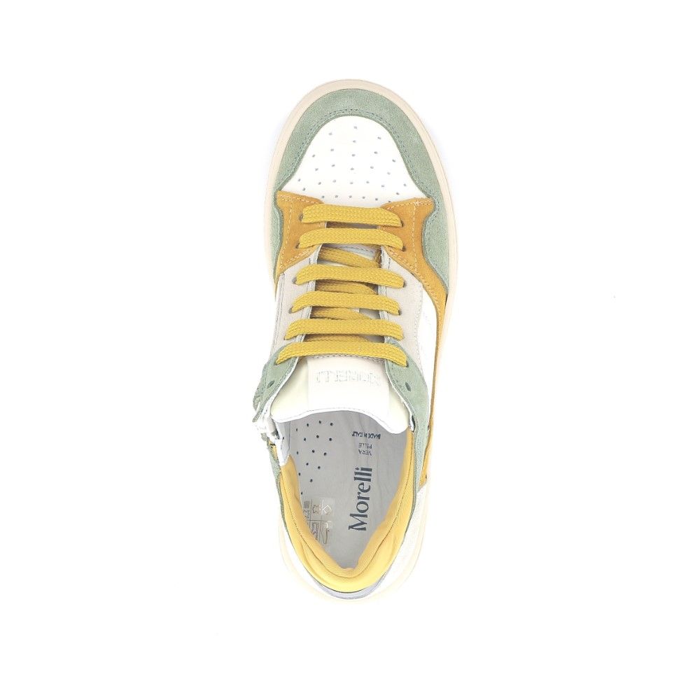 Morelli Sneaker 232905 groen