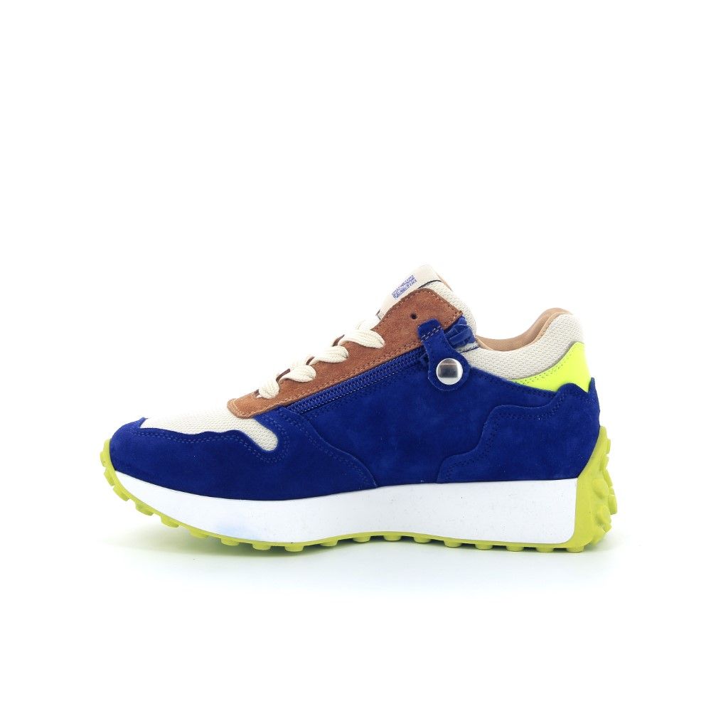 Rondinella Sneaker 232981 multi