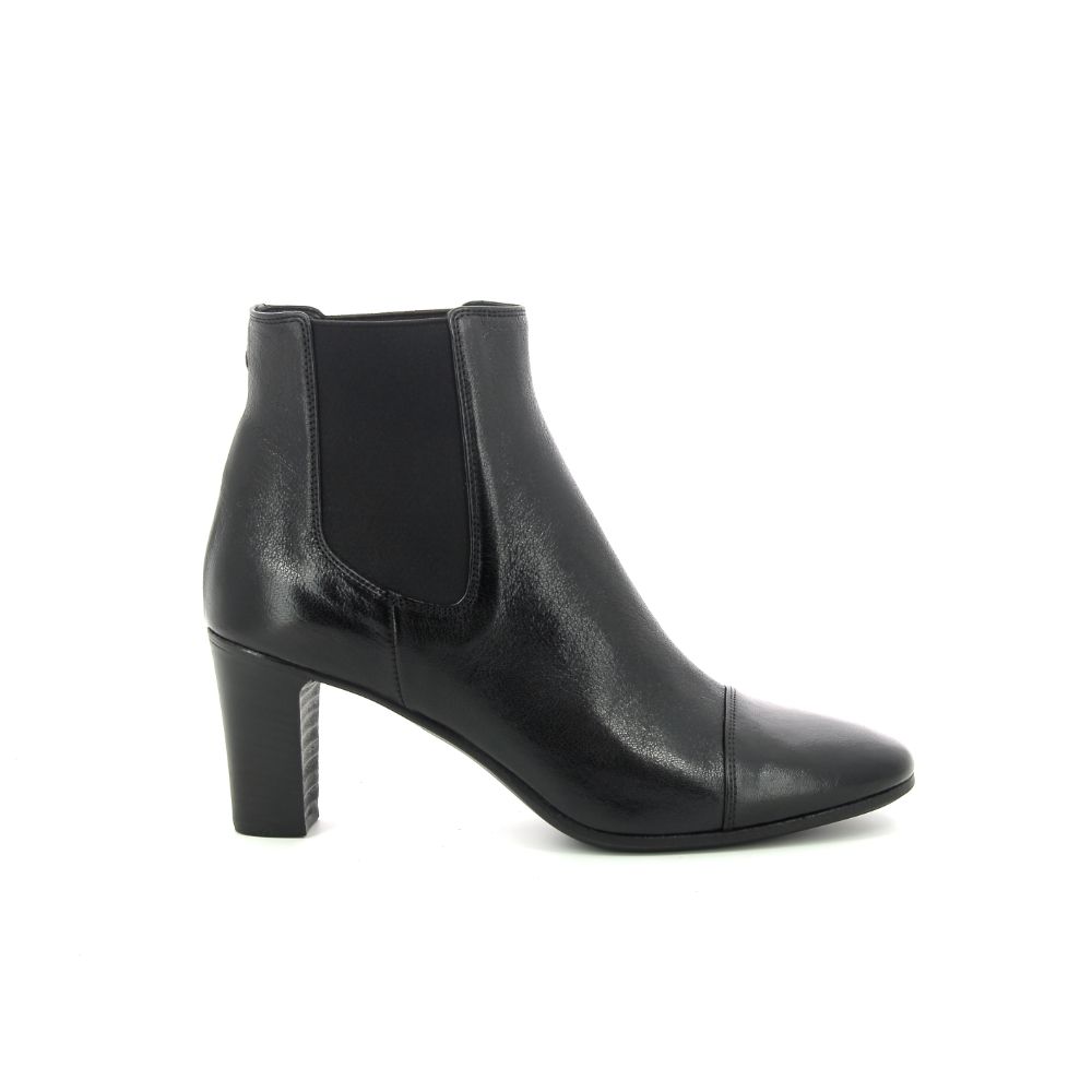 Pantanetti Boots 237468 zwart