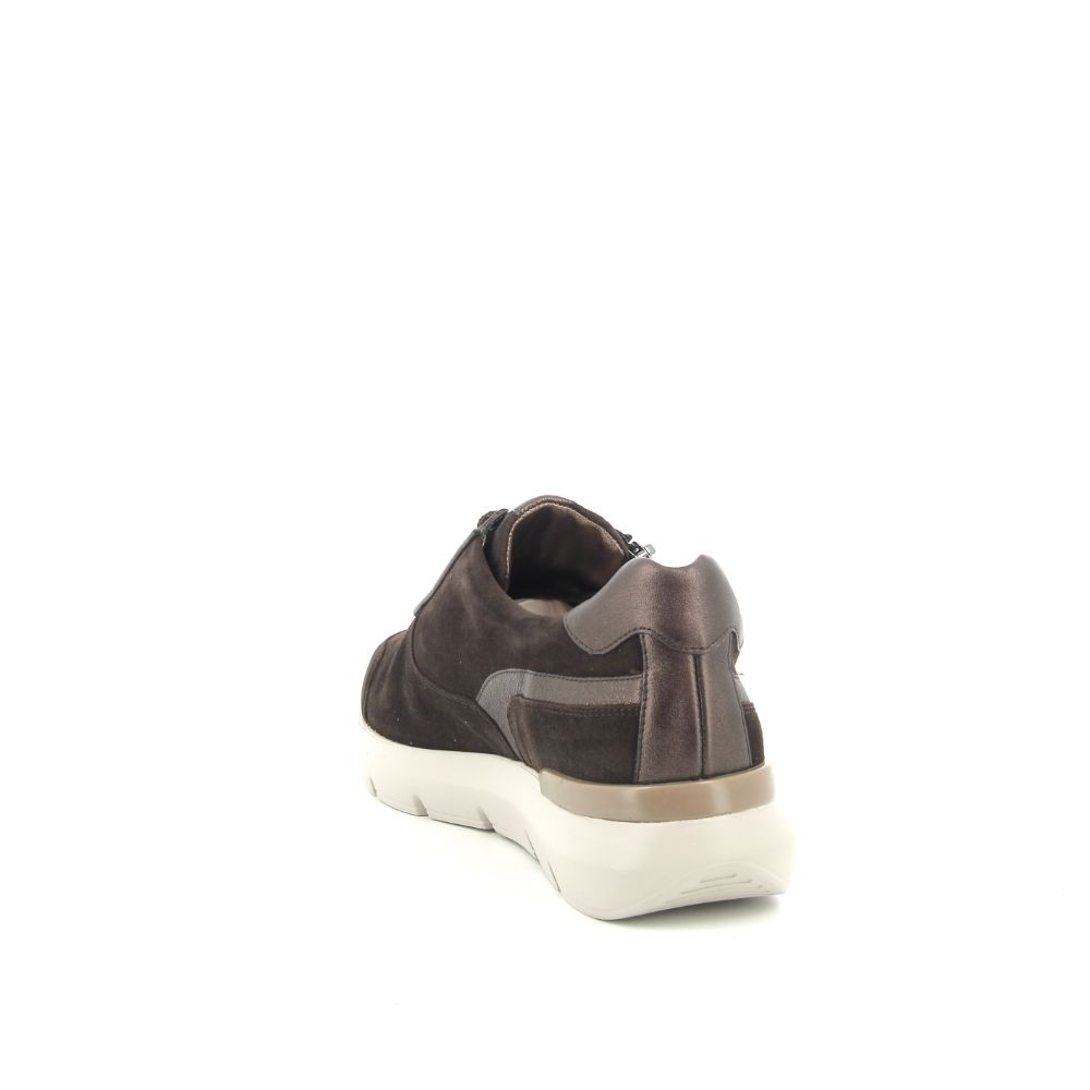 Hassia Bordeaux H 237508 bruin