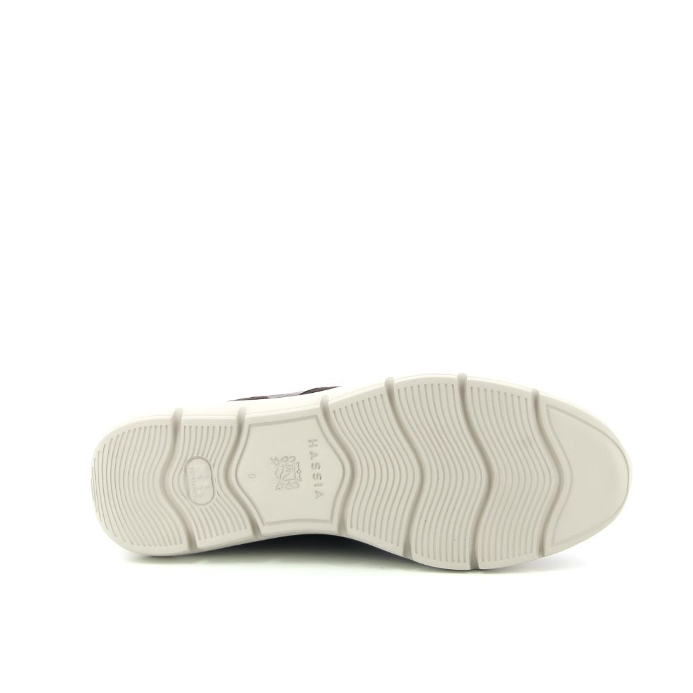 Hassia Bordeaux H 237508 bruin