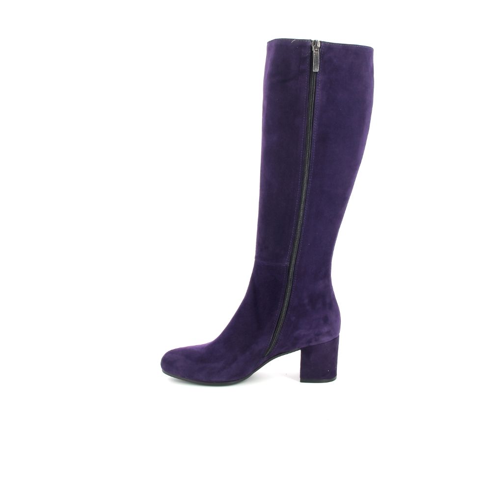 Lei Laars 237576 paars