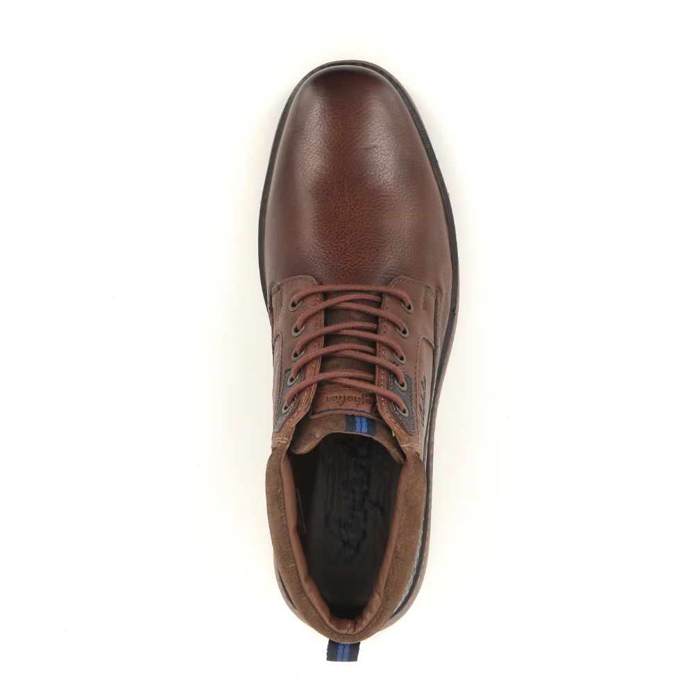 Australian Dexter 237916 cognac