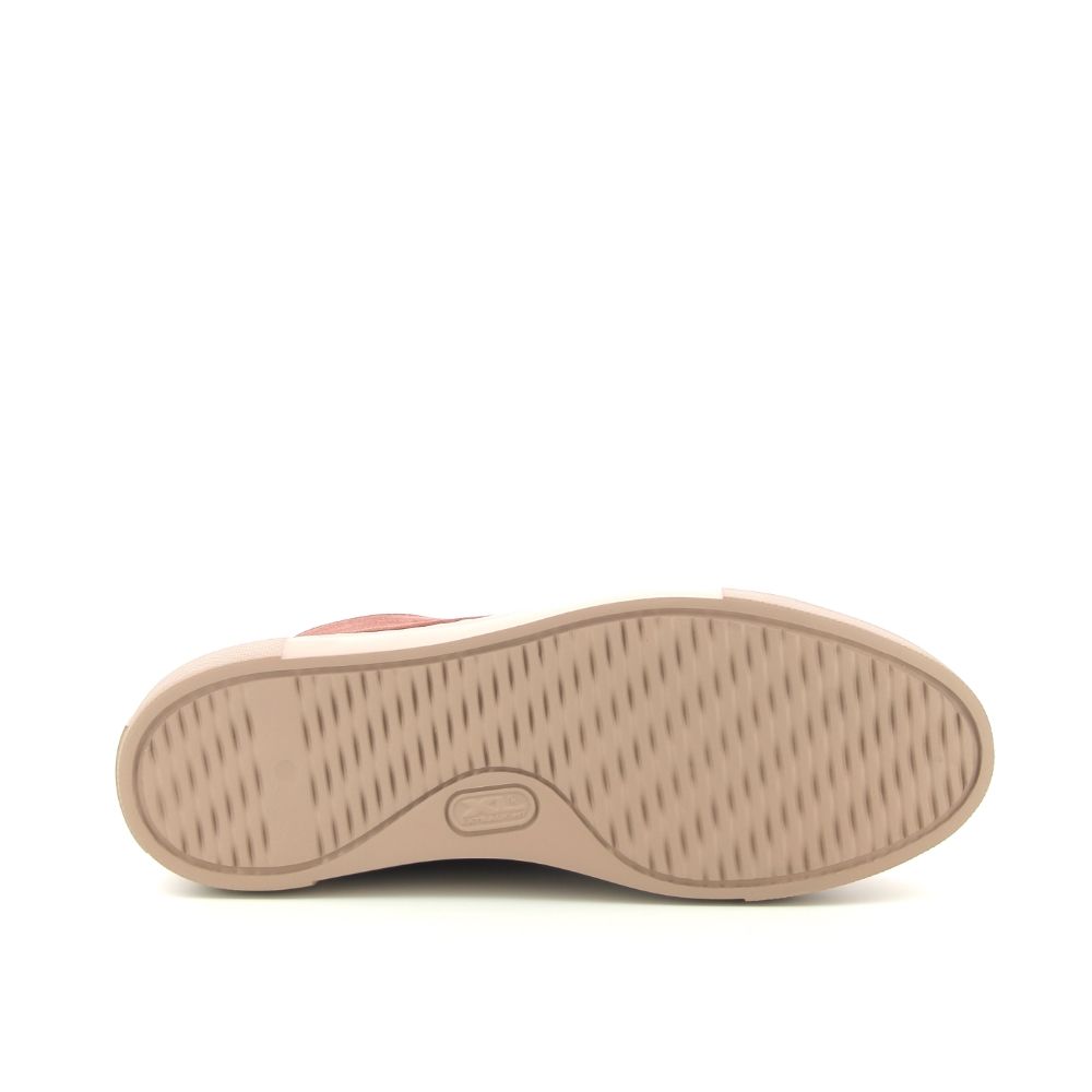 Maimai Atena Up 237942 rood