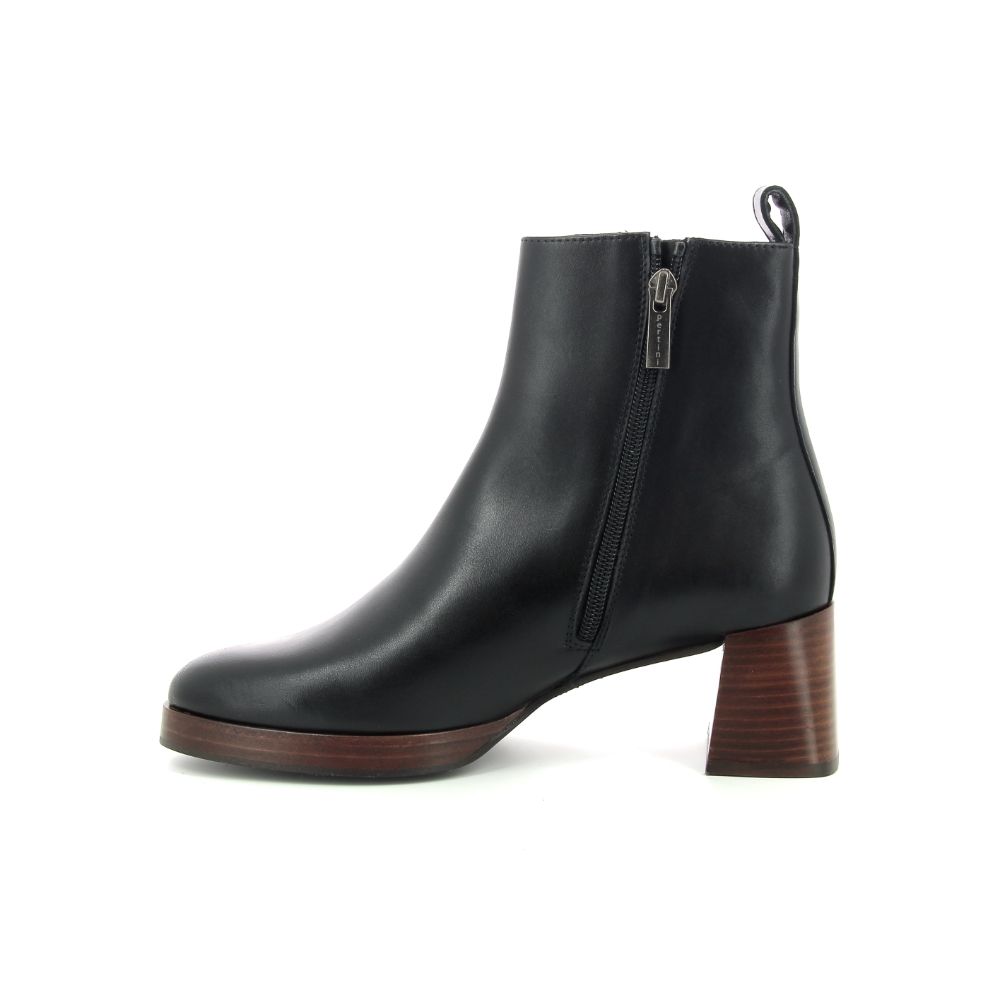 Pertini Boots 238219 zwart