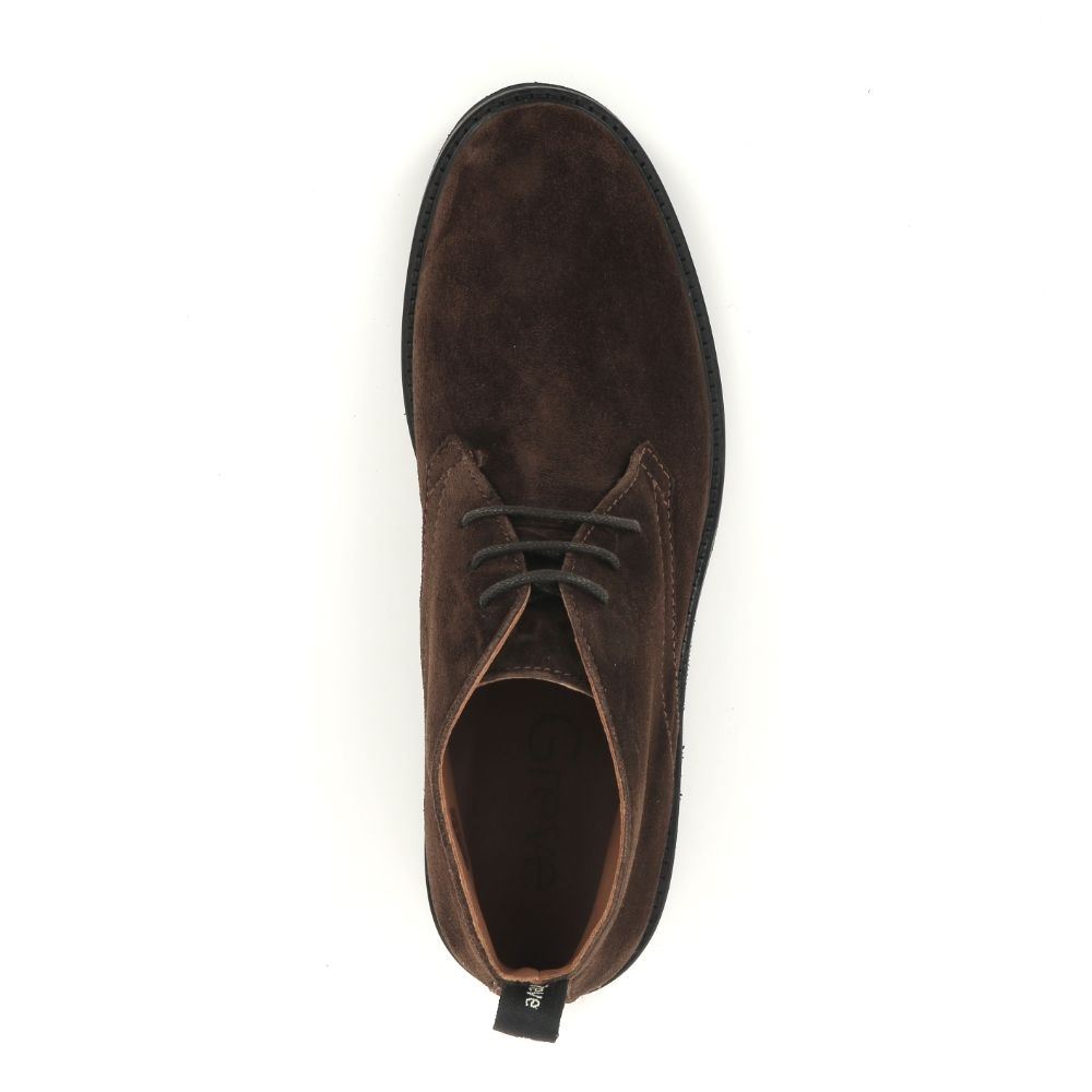 Greve Deventer 238572 bruin