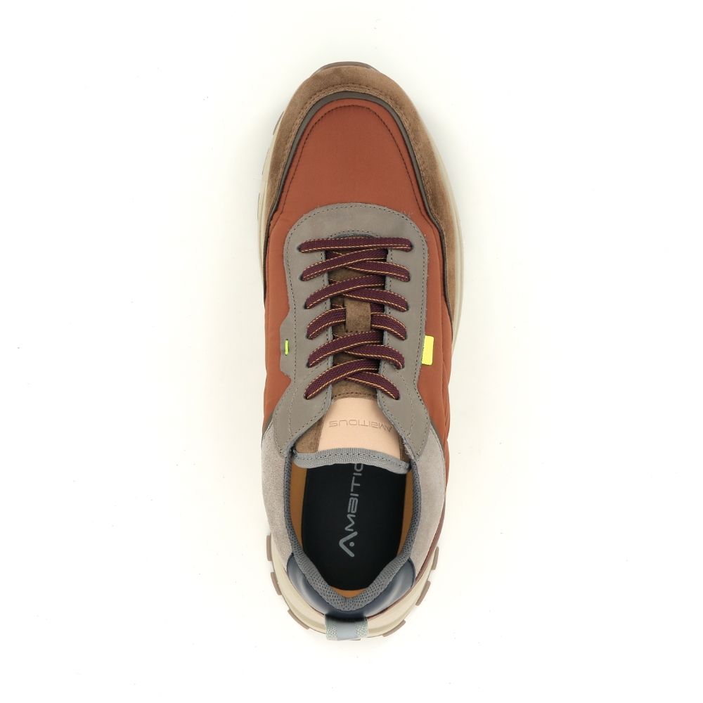 Ambitious Sneaker 238830 cognac