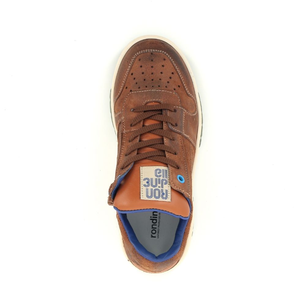 Rondinella Sneaker 238974 cognac