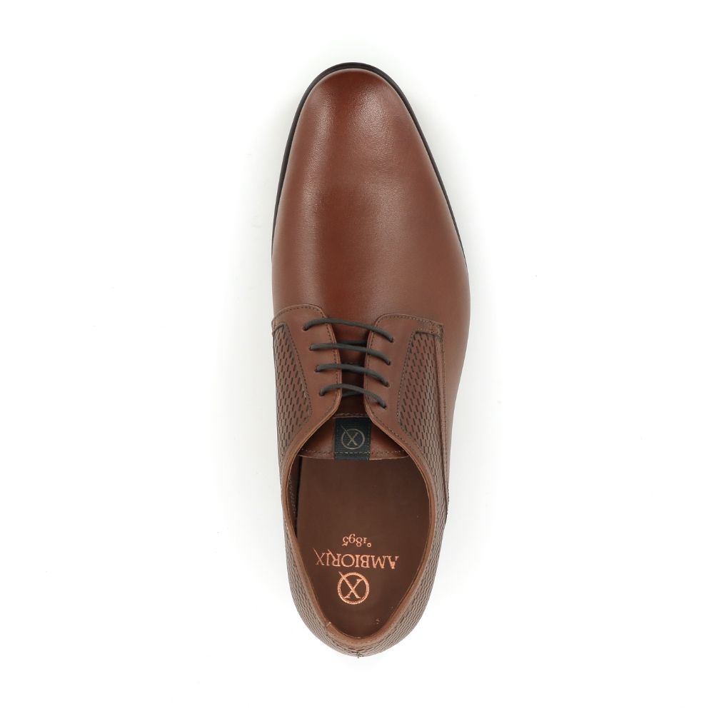 Ambiorix Erasmus - F105 SUOP 239177 cognac