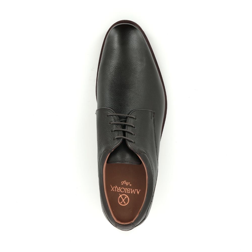 Ambiorix Aldo Sup B 239204 bruin