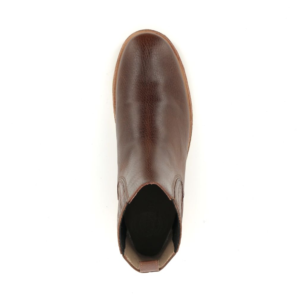 Angulus Chelsea Boot 239299 cognac