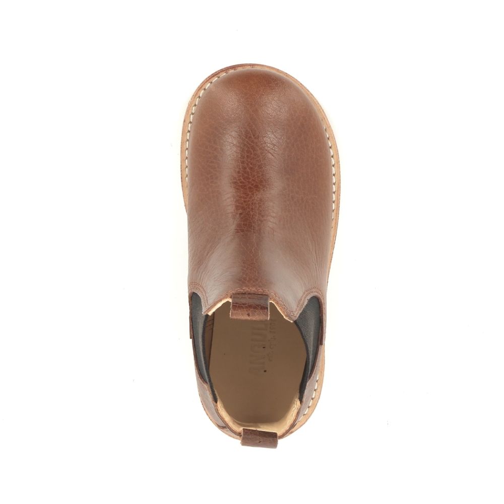 Angulus Boots 239316 cognac